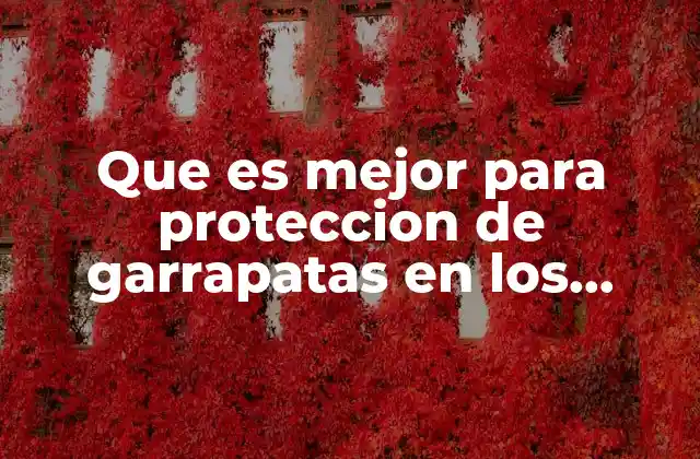 Que es Mejor para Proteccion de Garrapatas en los Perros