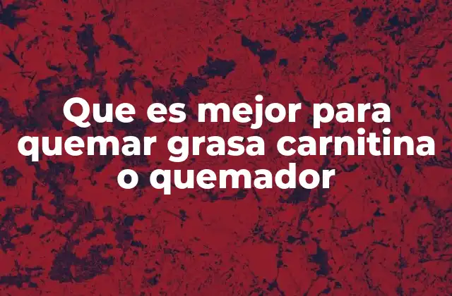 Que es Mejor para Quemar Grasa Carnitina o Quemador