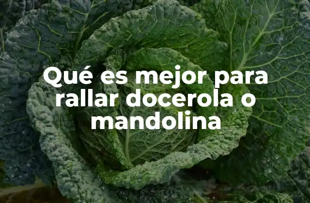 Qué es Mejor para Rallar Docerola o Mandolina