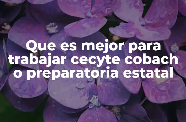 Que es Mejor para Trabajar Cecyte Cobach o Preparatoria Estatal