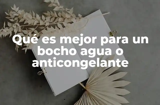 Qué es Mejor para un Bocho Agua o Anticongelante