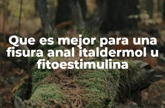 Que es Mejor para una Fisura Anal Italdermol u Fitoestimulina