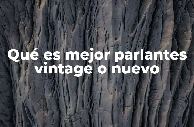 Qué es Mejor Parlantes Vintage o Nuevo