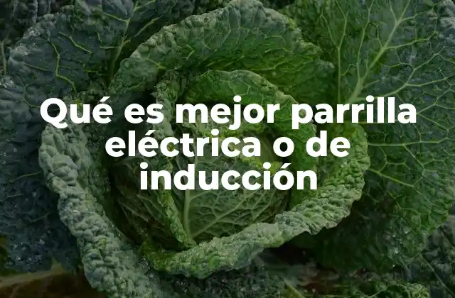Qué es Mejor Parrilla Eléctrica o de Inducción