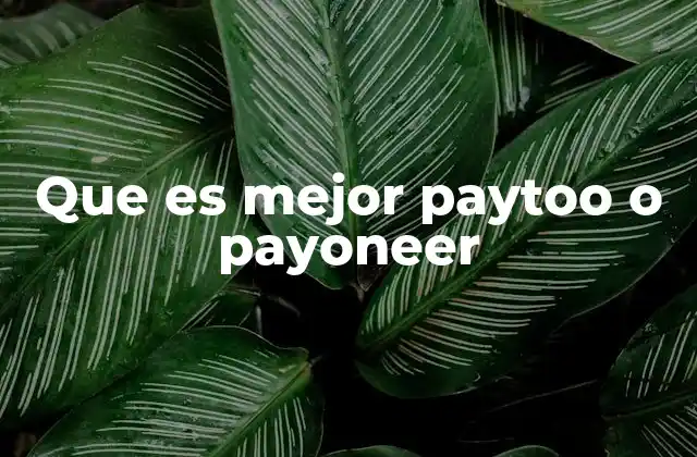 Que es Mejor Paytoo o Payoneer