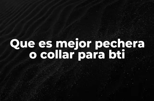 Apoyo sensorial y terapéutico: diferencias entre pechera y collar