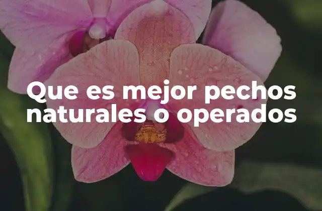 Que es Mejor Pechos Naturales o Operados