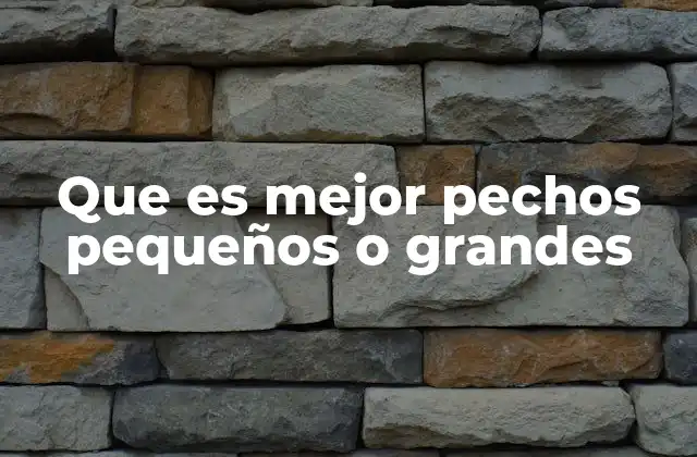 Que es Mejor Pechos Pequeños o Grandes