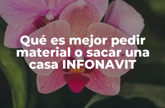 Qué es Mejor Pedir Material o Sacar una Casa Infonavit