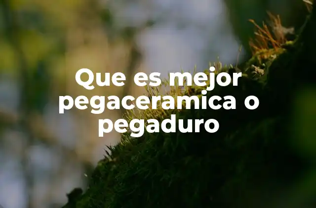 Que es Mejor Pegaceramica o Pegaduro