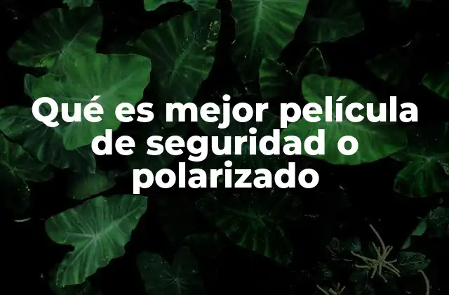 Qué es Mejor Película de Seguridad o Polarizado