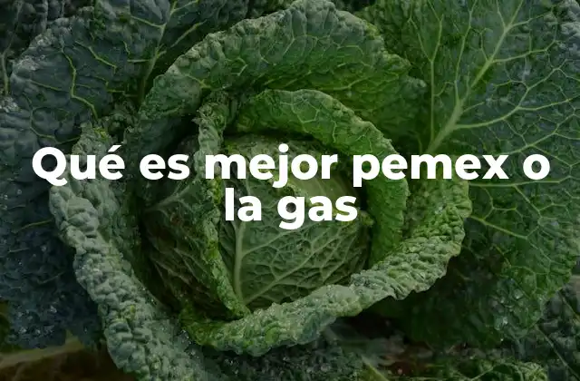 Qué es Mejor Pemex o la Gas