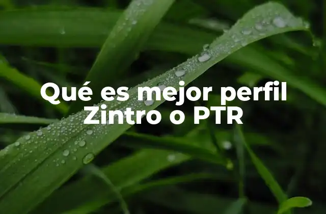 Qué es Mejor Perfil Zintro o Ptr