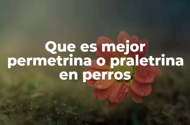 Que es Mejor Permetrina o Praletrina en Perros