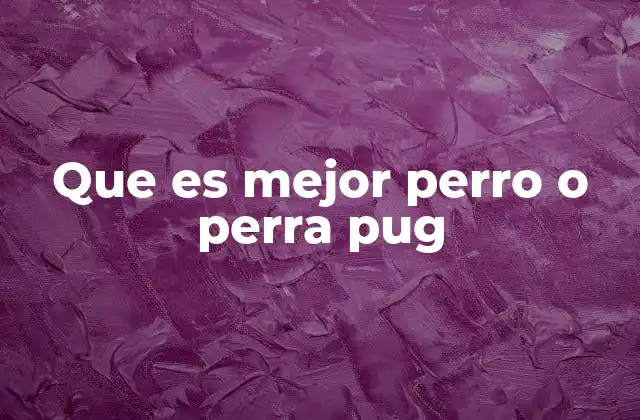 Que es Mejor Perro o Perra Pug