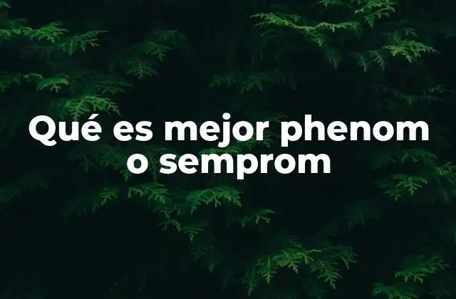 Qué es Mejor Phenom o Semprom
