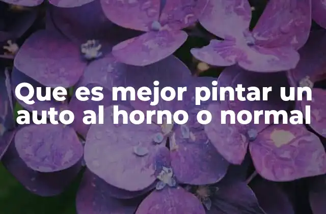 Que es Mejor Pintar un Auto Al Horno o Normal 2 Factores a considerar antes de decidir el método de pintura