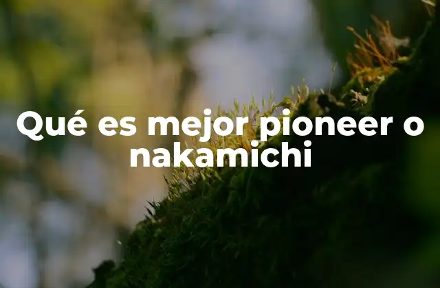 Qué es Mejor Pioneer o Nakamichi