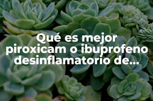 Qué es Mejor Piroxicam o Ibuprofeno Desinflamatorio de Tendones