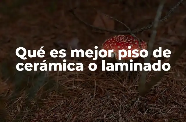 Qué es Mejor Piso de Cerámica o Laminado