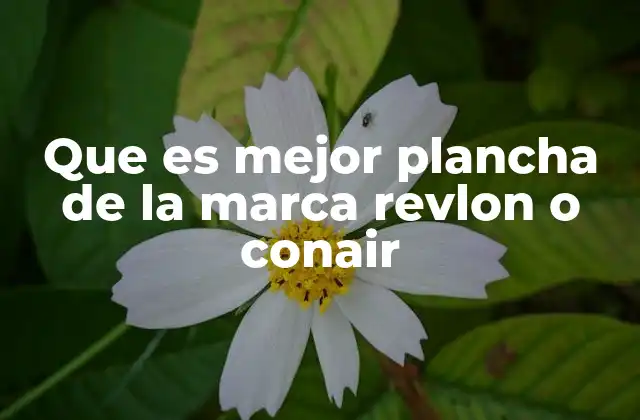 Que es Mejor Plancha de la Marca Revlon o Conair