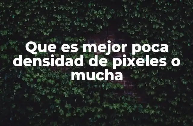 Que es Mejor Poca Densidad de Pixeles o Mucha