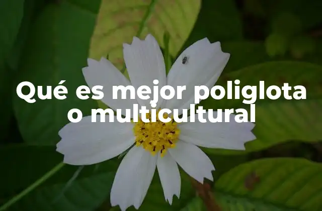Qué es Mejor Poliglota o Multicultural