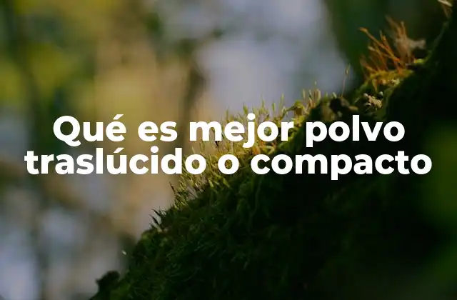 Qué es Mejor Polvo Traslúcido o Compacto