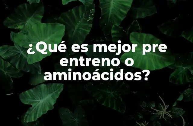 Suplementos para el rendimiento y la recuperación muscular