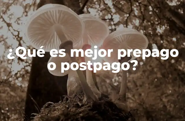 ¿qué es Mejor Prepago o Postpago?