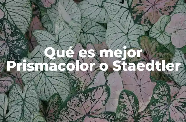 Comparando la calidad y durabilidad de dos marcas de lápices de colores