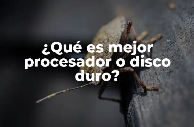 ¿qué es Mejor Procesador o Disco Duro?