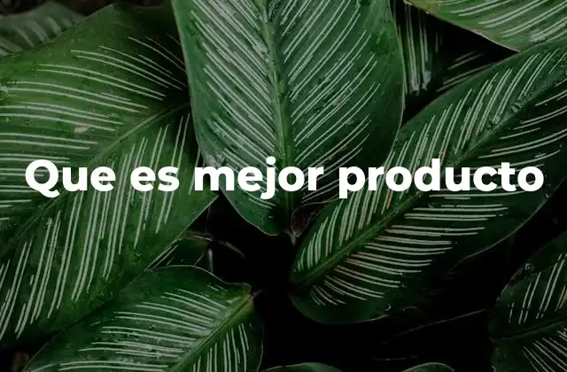 Que es Mejor Producto