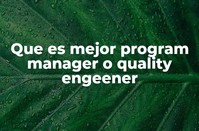 Que es Mejor Program Manager o Quality Engeener
