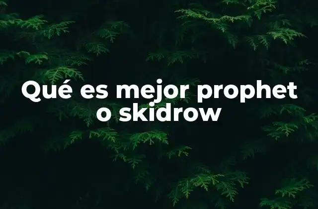 Qué es Mejor Prophet o Skidrow 2 Factores a considerar al elegir un grupo de cracks