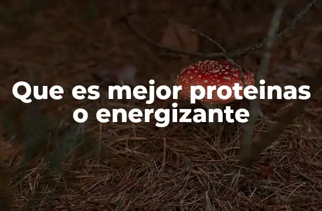 Que es Mejor Proteinas o Energizante