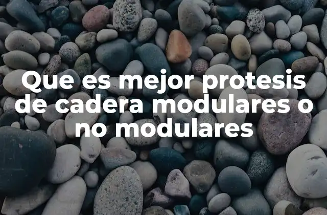 Que es Mejor Protesis de Cadera Modulares o No Modulares