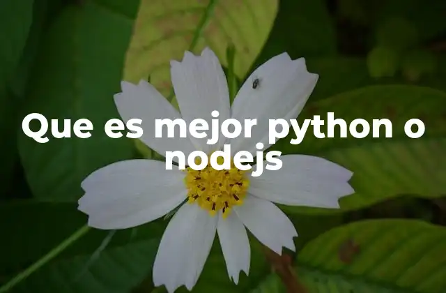 Que es Mejor Python o Nodejs