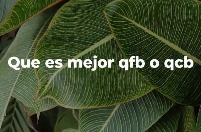 Que es Mejor Qfb o Qcb