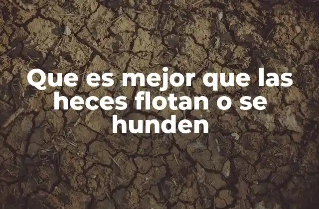 Factores que influyen en la flotabilidad de las heces