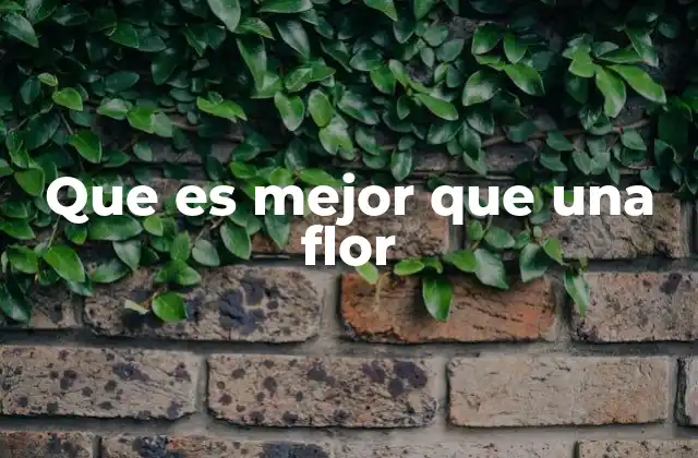 Que es Mejor que una Flor