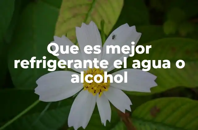 Que es Mejor Refrigerante el Agua o Alcohol