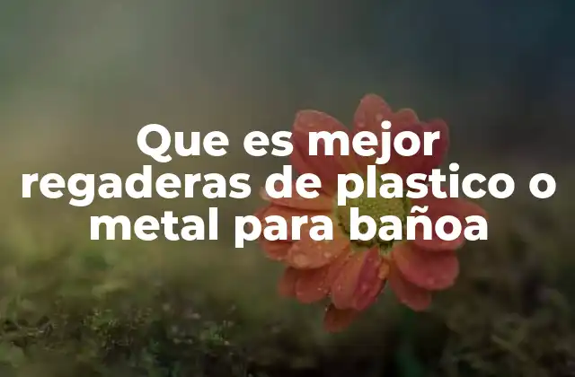 Que es Mejor Regaderas de Plastico o Metal para Bañoa