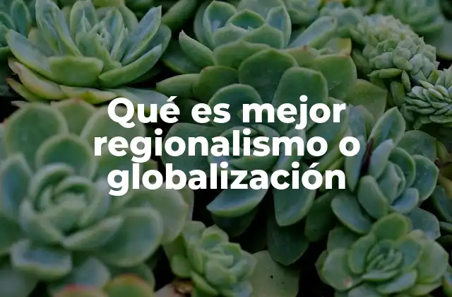 Qué es Mejor Regionalismo o Globalización
