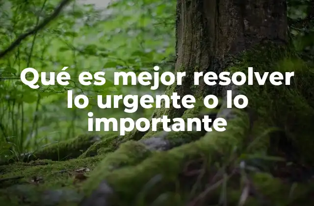 Qué es Mejor Resolver Lo Urgente o Lo Importante