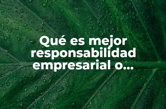 Qué es Mejor Responsabilidad Empresarial o Filantropía