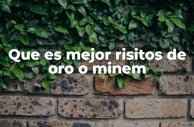 Que es Mejor Risitos de Oro o Minem