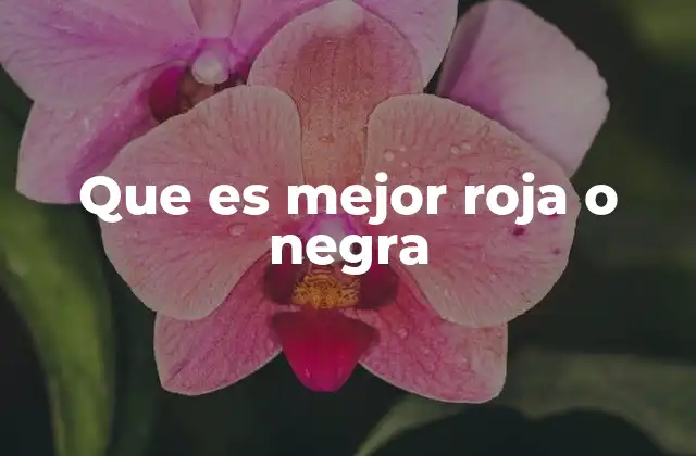 Que es Mejor Roja o Negra 2 Diferencias entre té rojo y té negro