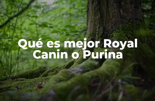 Qué es Mejor Royal Canin o Purina