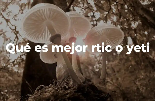 Qué es Mejor Rtic o Yeti